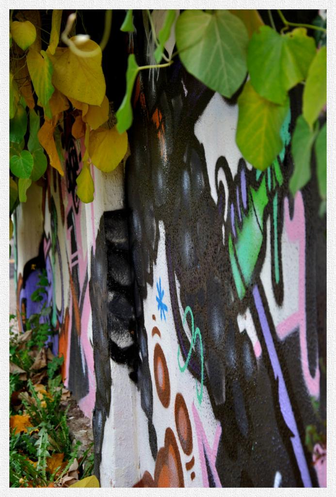 Graffiti, Göttingen

Blende: f 5,6
ISO-Wert: 200
Belichtungszeit: 1/40 s
