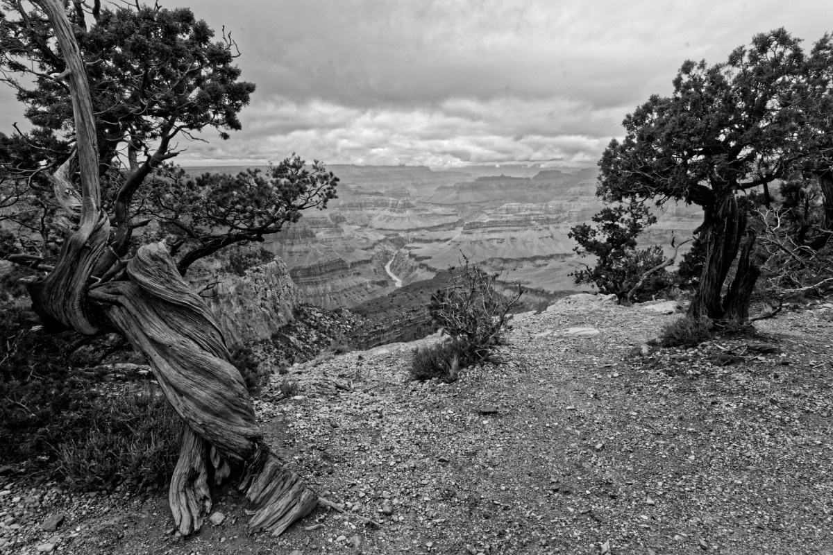 Grand Canyon