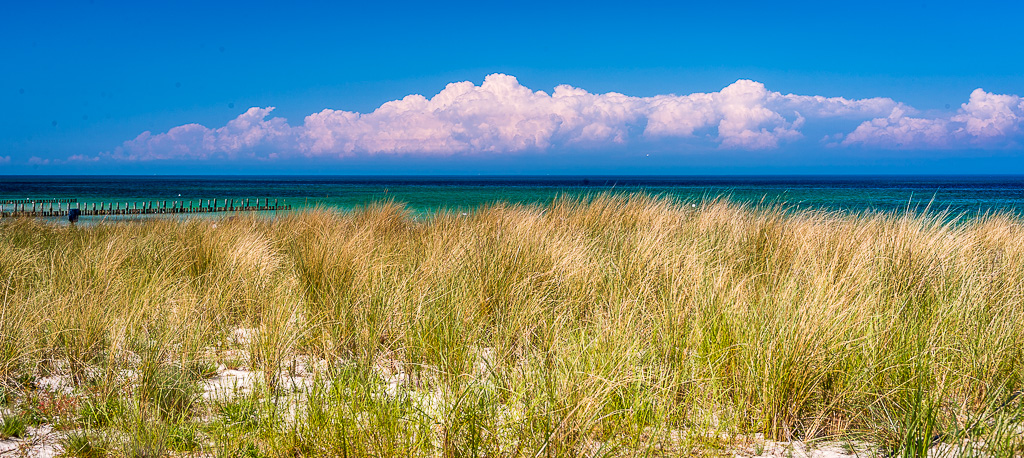 Gras und Meer