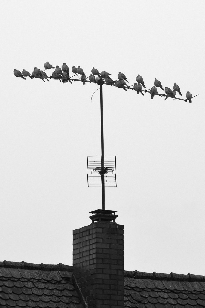 ... grau in grau