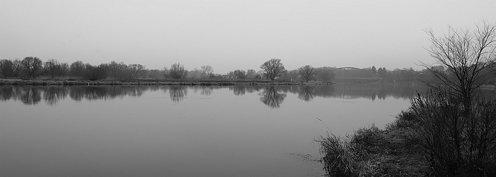 Grau