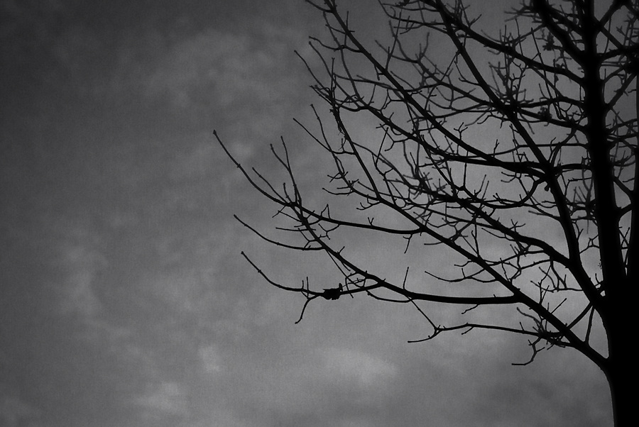 grau