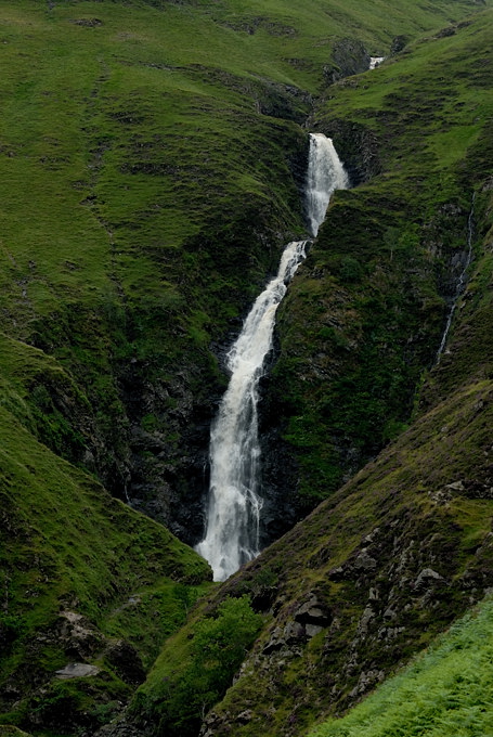 Gray Mare's Tail 1