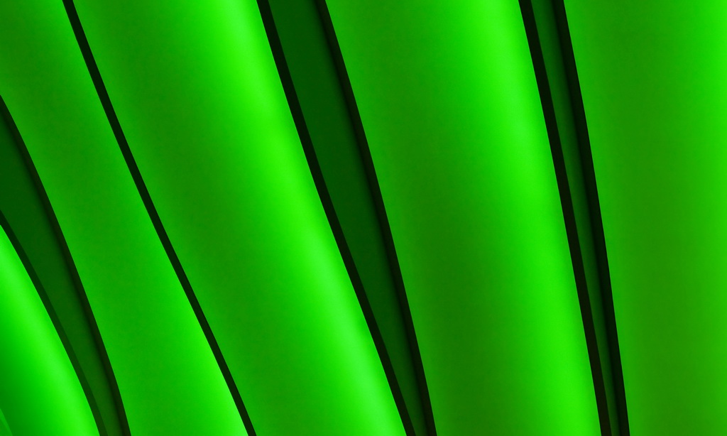 Green Illu