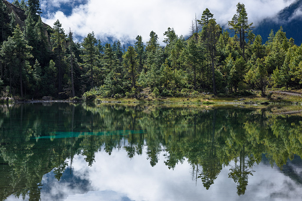 green lake Pisang klein