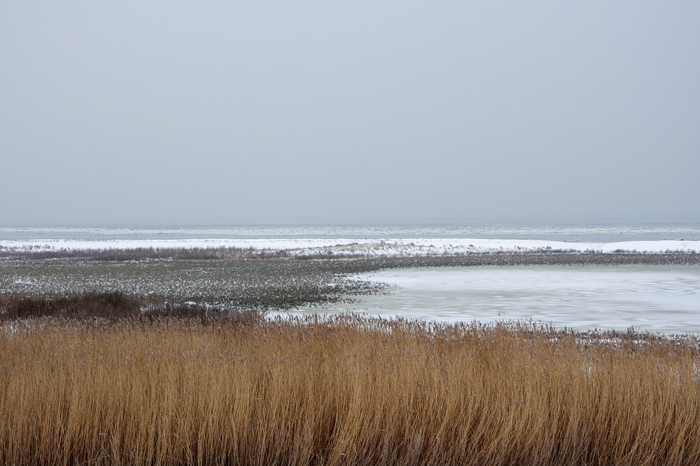 Greetsiel 02