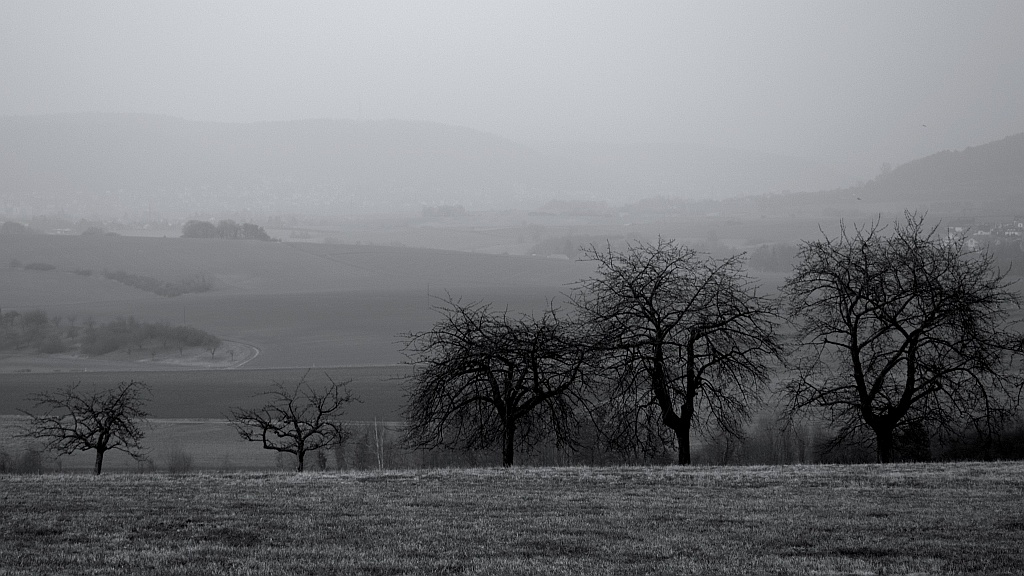 greyviewok