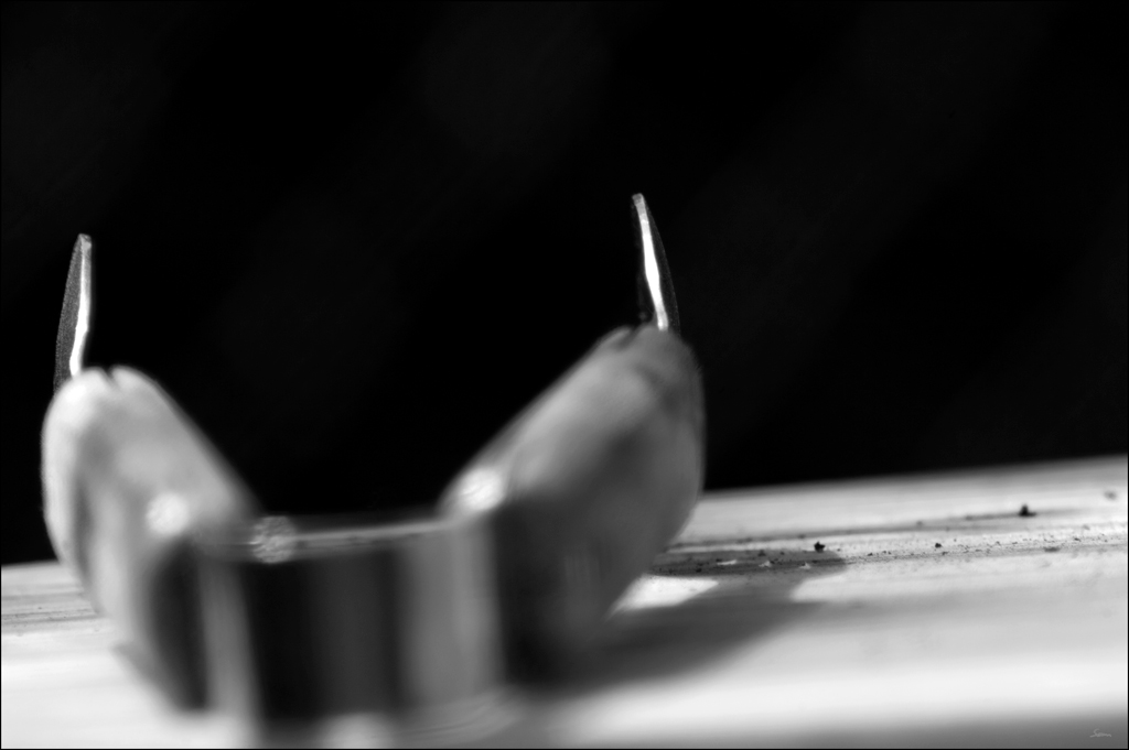 GrillDSC 0194