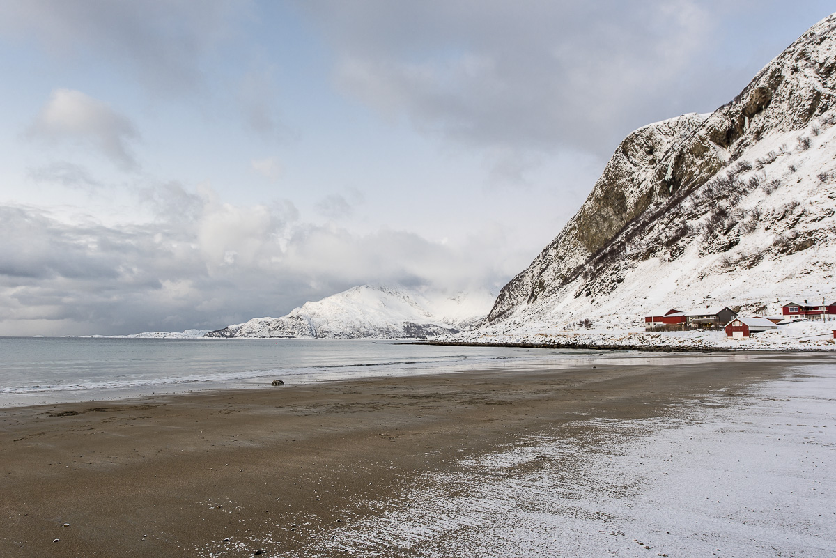 Grotfjord