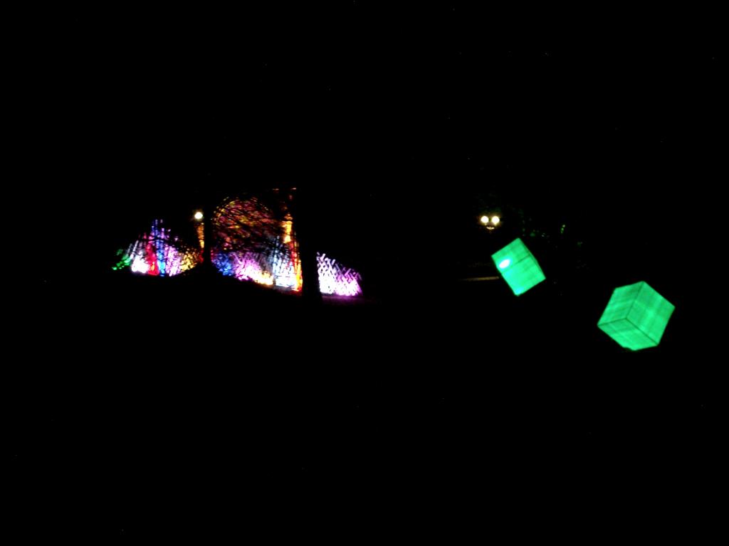 Gruga lichter 29.02.2012 042