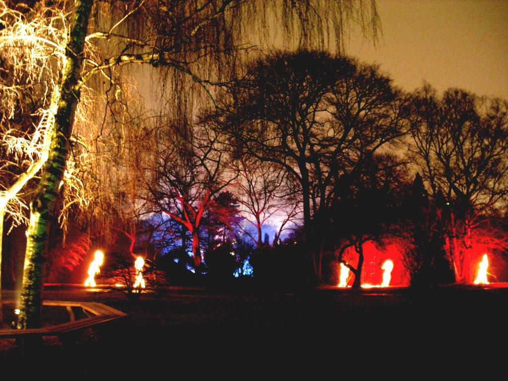 Gruga lichter 29.02.2012 121