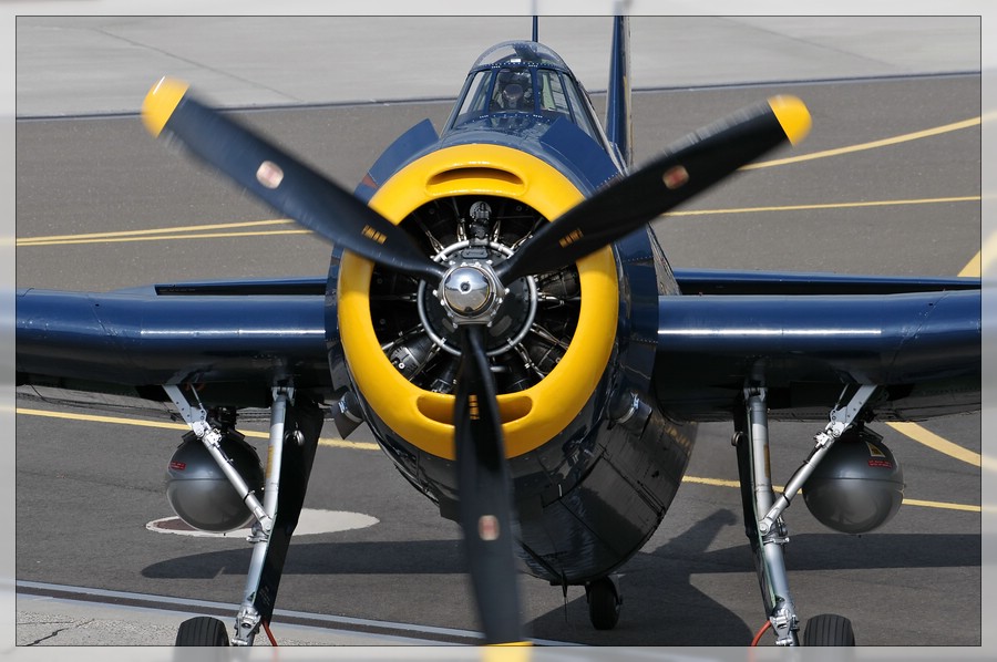 Grumman TBM-3E "Avenger" - 02