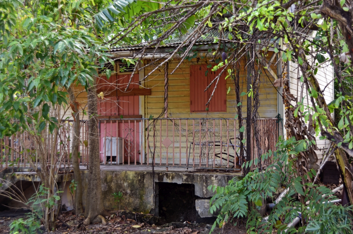 guadeloupe_marode_2.jpg