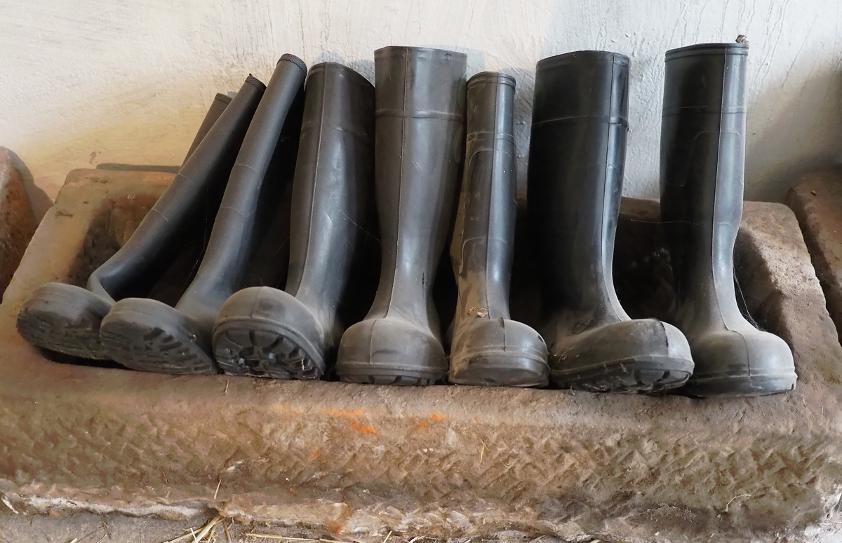 Gummistiefel.jpg