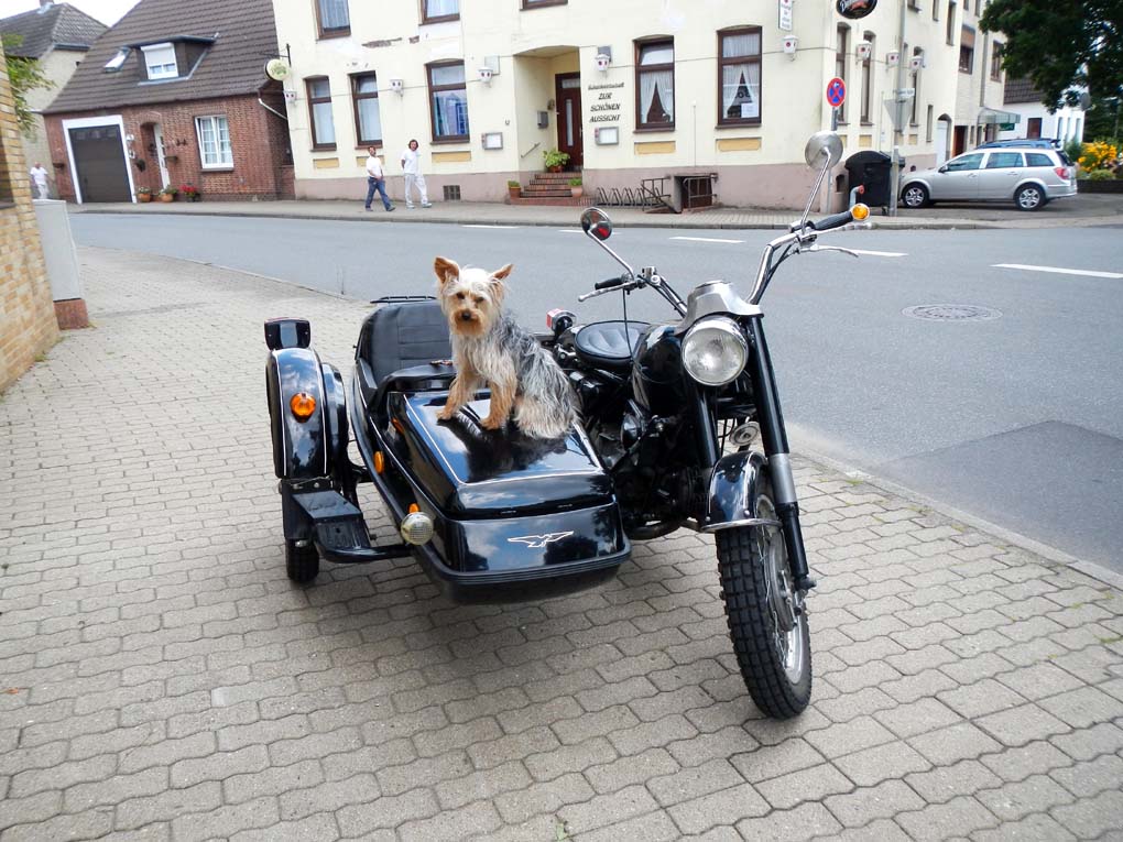 Guzzi1aff