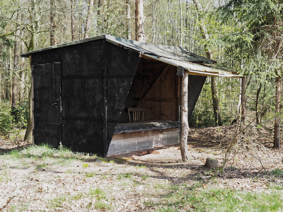 Hämelheide.jpg