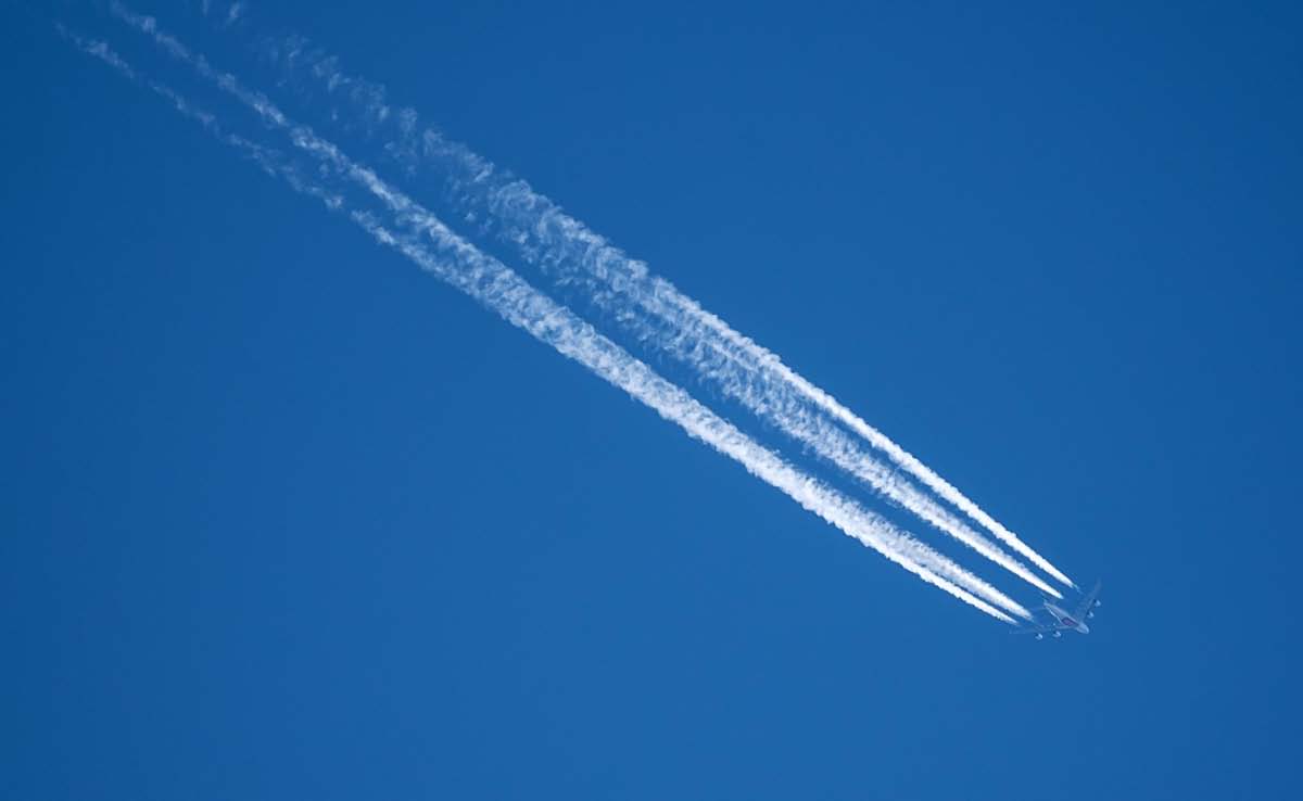 Höhenflieger.jpg