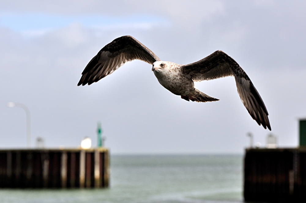 Hörnum / Sylt