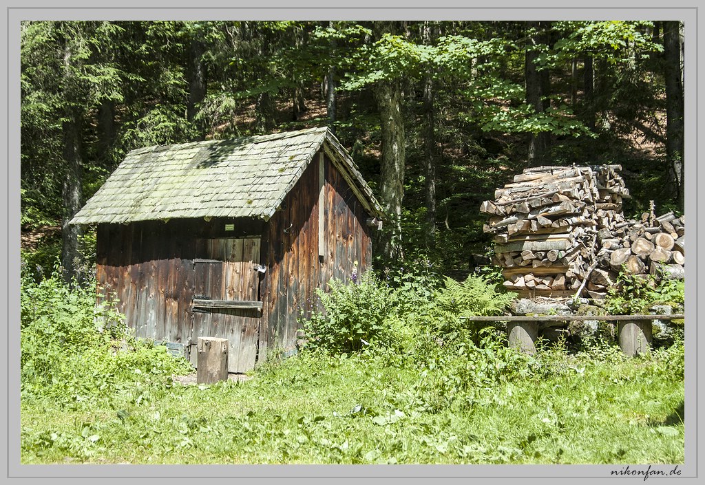 Hütte am Waldrand