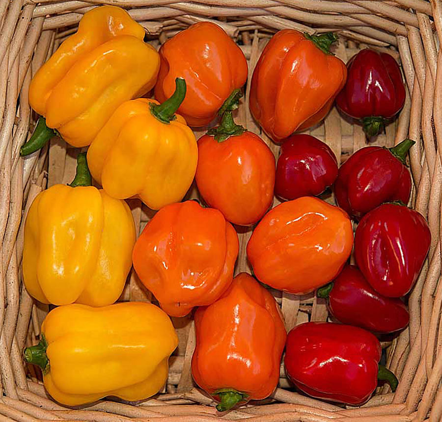 Habaneros 2