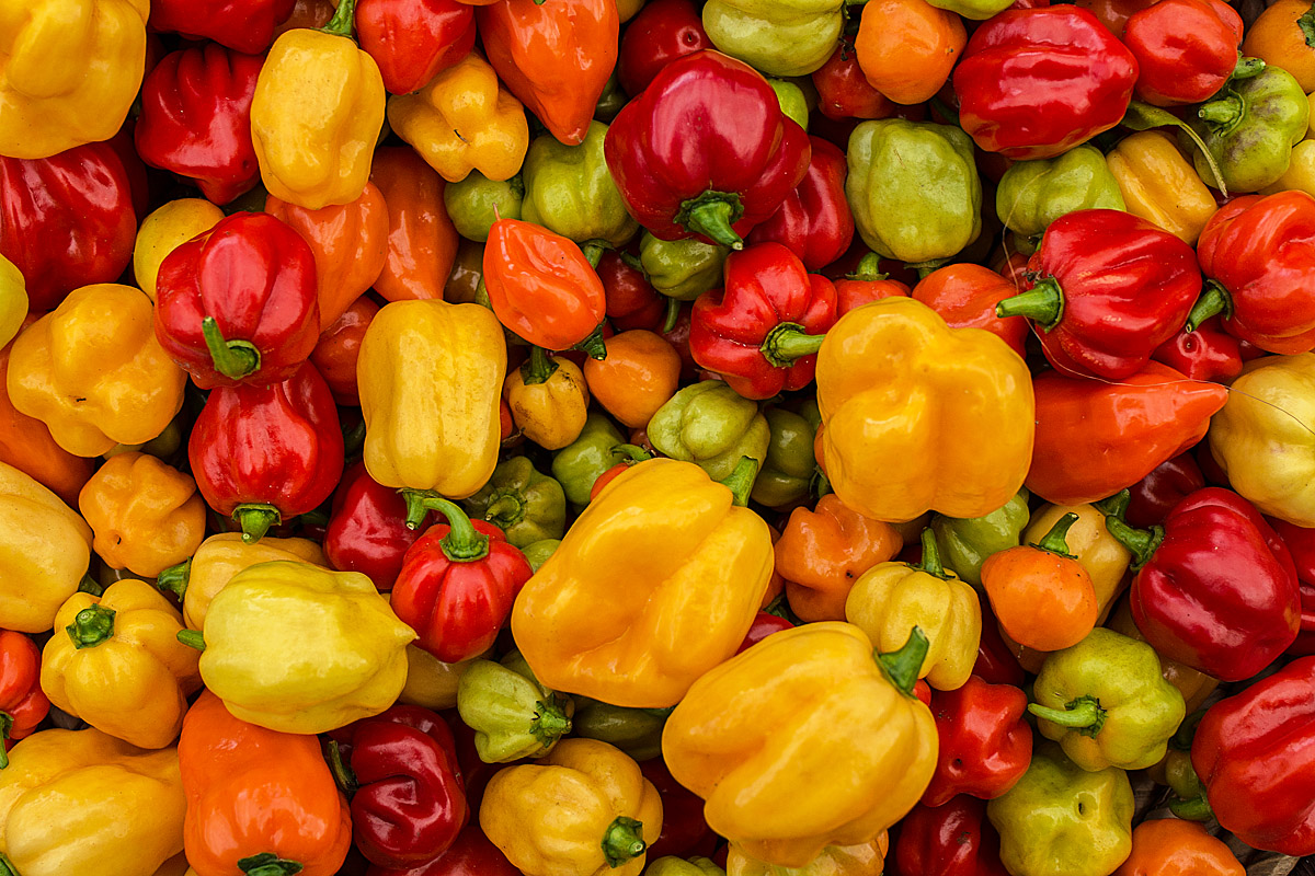 Habaneros