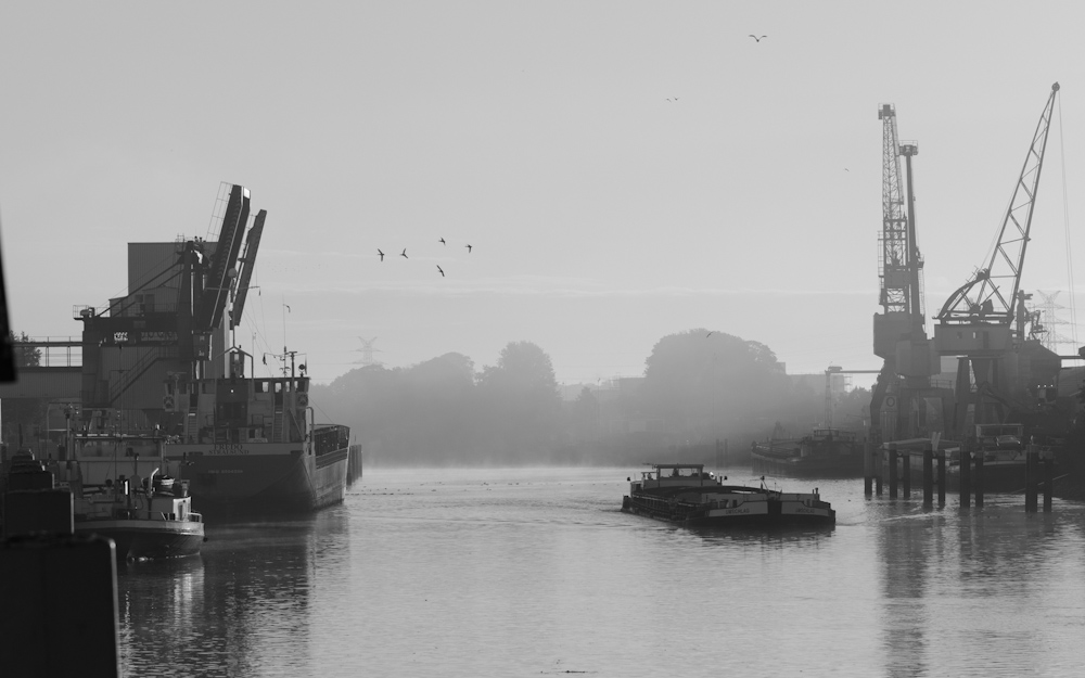 Hafen20121011