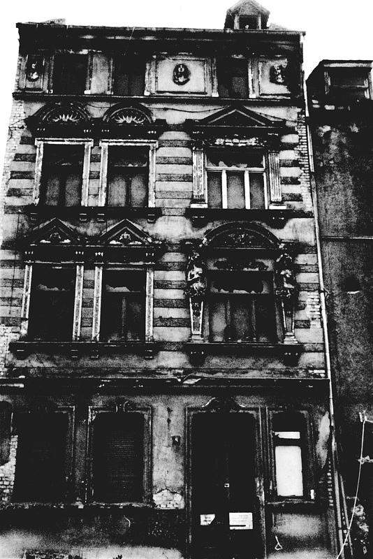 Halle1988 1SW