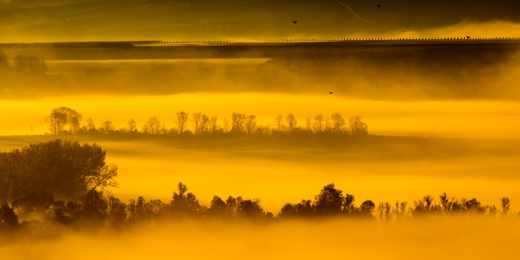 Hallo an das Forum,

hier mein Beitrag. Landschaft in Rheinhessen am frühen morgen. Alles erwacht aus dem Morgennebel....