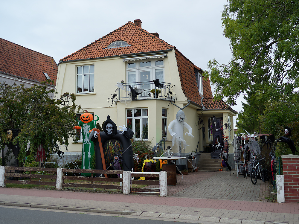 Hallo wehn oder was.jpg