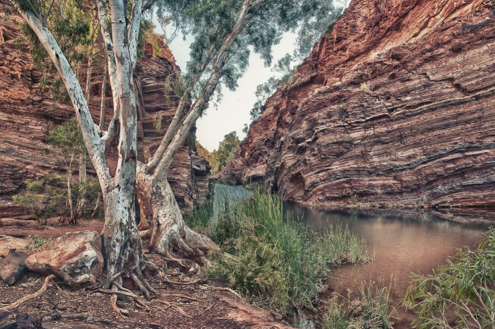 Hamersley range