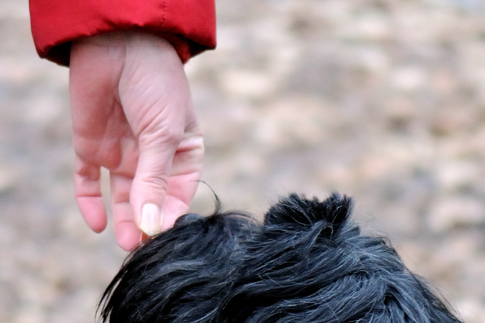 hand 1