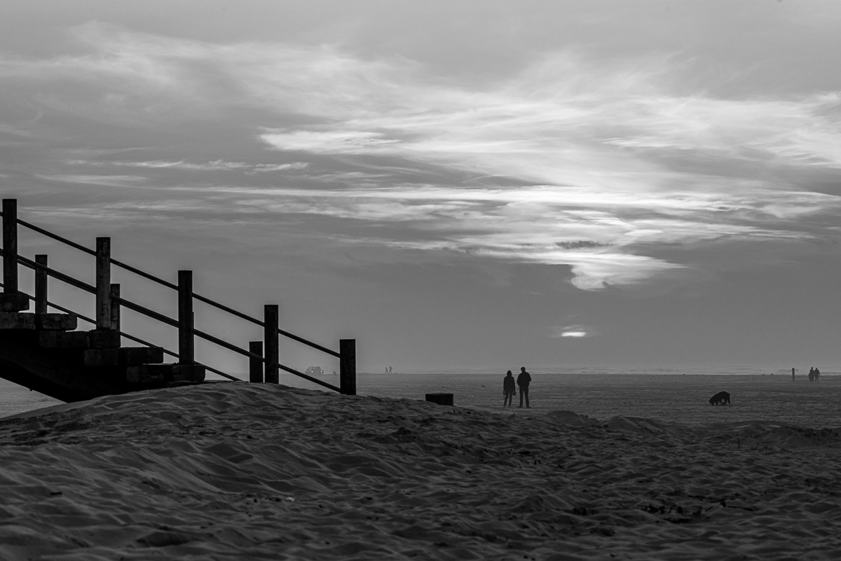 HAR_7507-4.jpg
