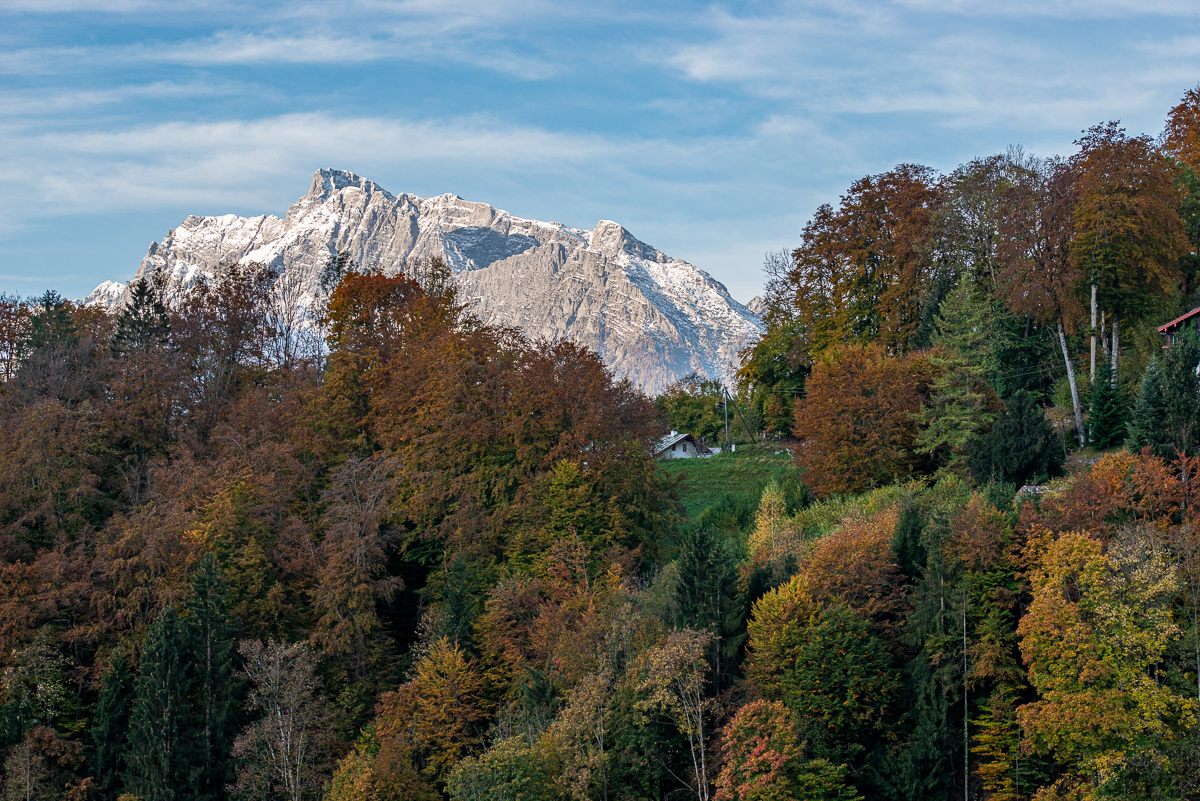HAR_9172-2.jpg