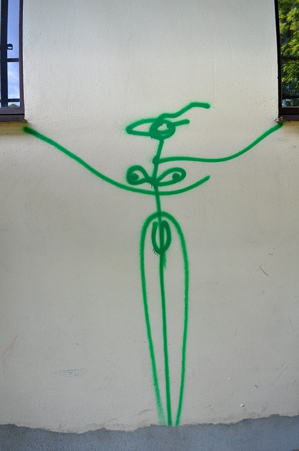 HaraldOskarNaegeli2