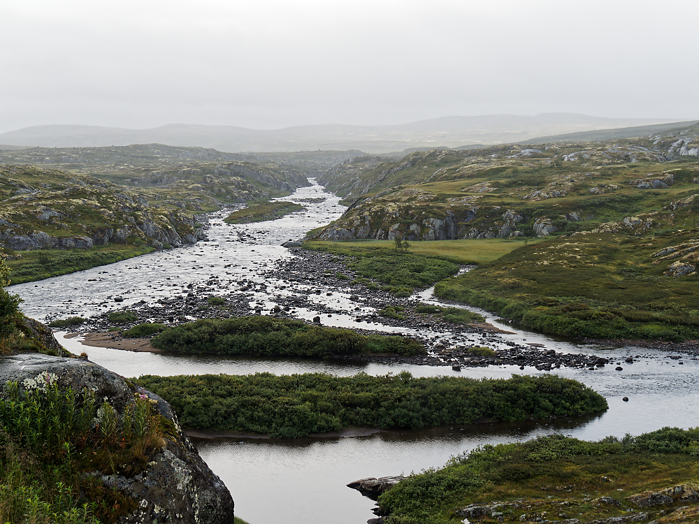 Hardangervidda.jpg