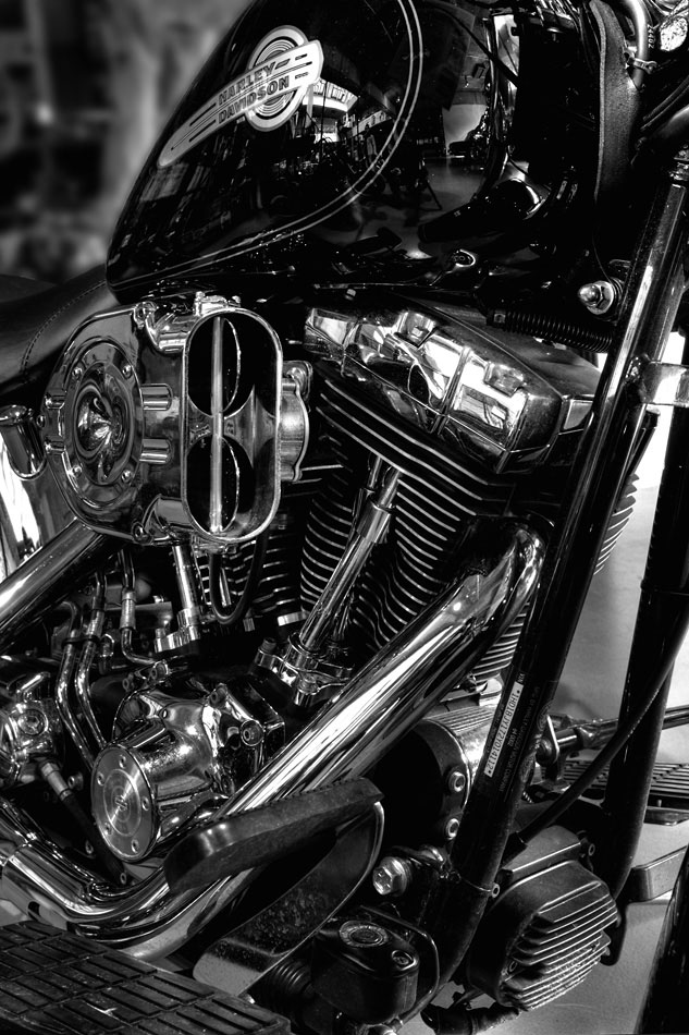 Harley
