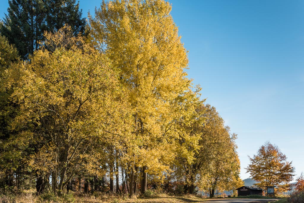 Harz 311015 007