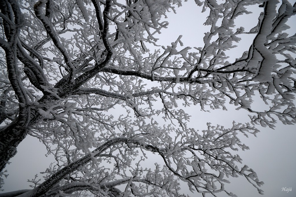 Harz Februar 119cnc