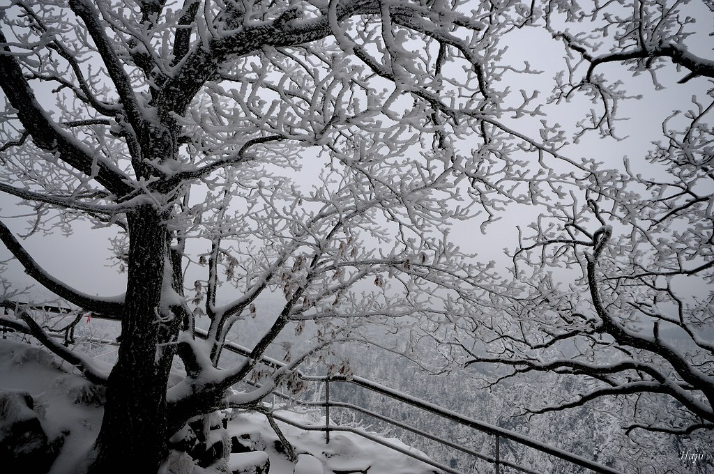 Harz Februar 121cnx