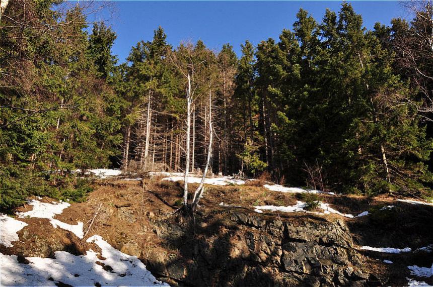 Harz