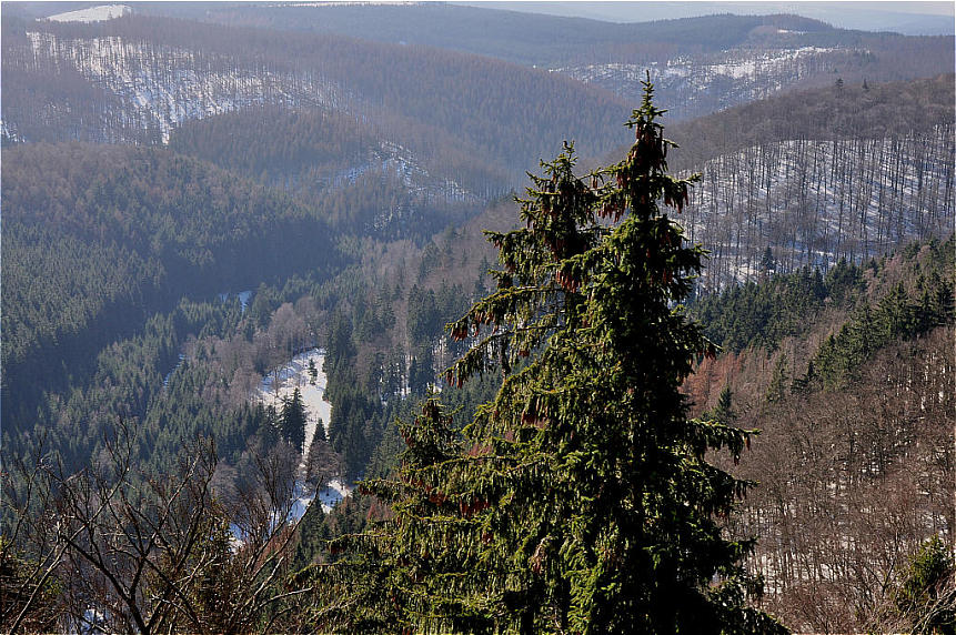 Harz