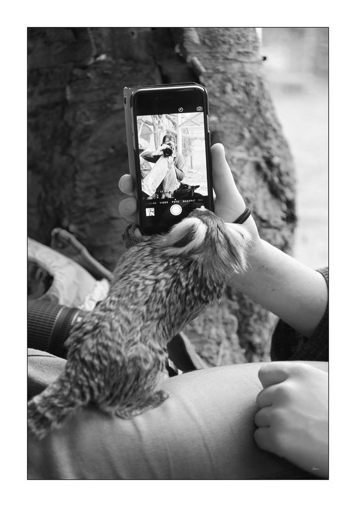 HaselPZ1 5149