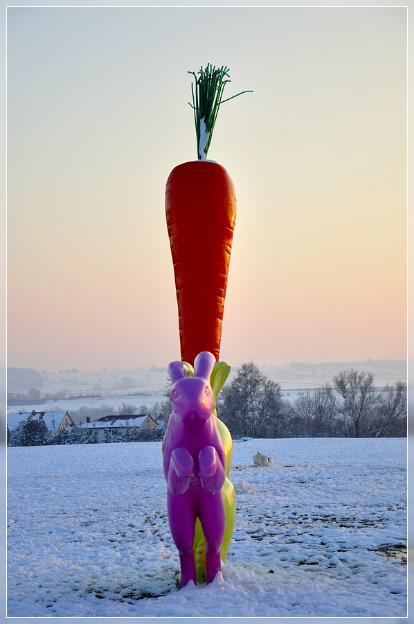 Hasen in Ostfildern im Abendlicht - Kunst? ;)