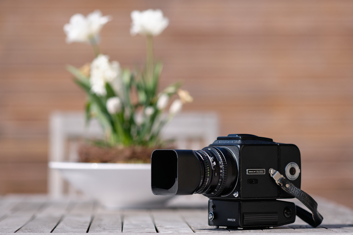 Hasselblad