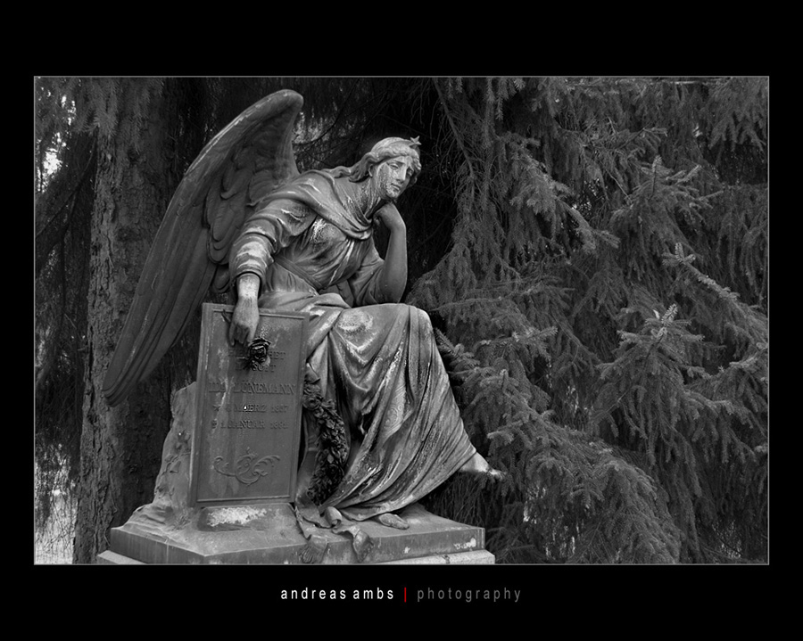 Hauptfriedhof Goettingen 0066 Kopie
