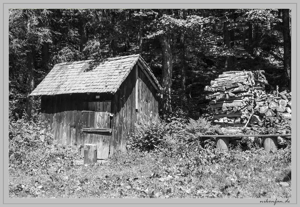 Haus am Wald