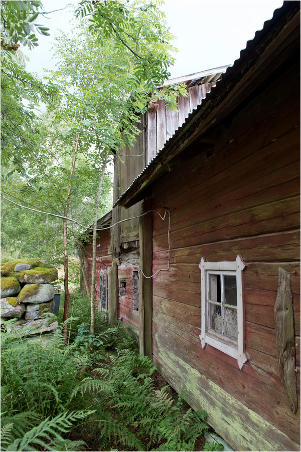 haus im wald4
