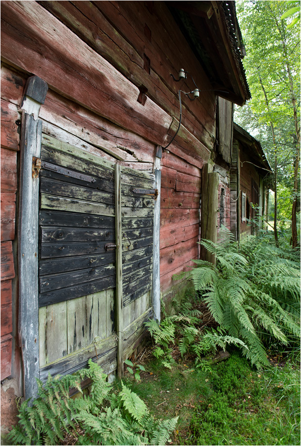 haus im wald5