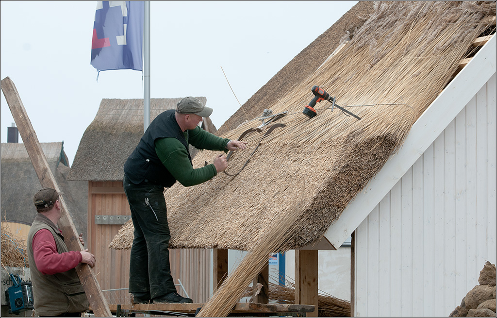 Haus mit Haaren