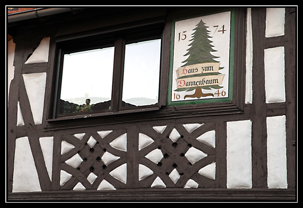 haus zum dannenbaum